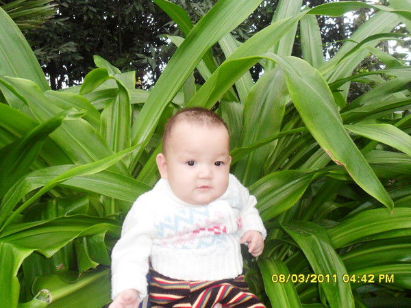 *********** ***********