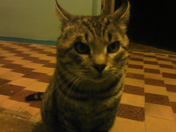 Руслан Айдамиров