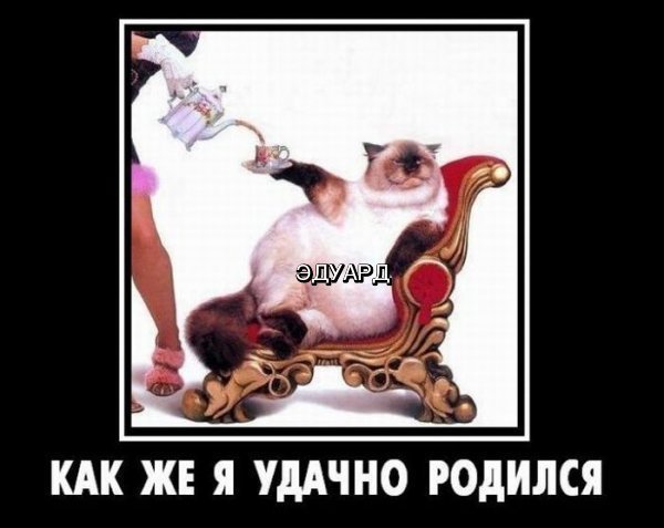 Эдуард Сорокин