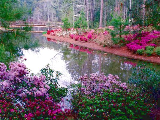 Надежда Мурзаева