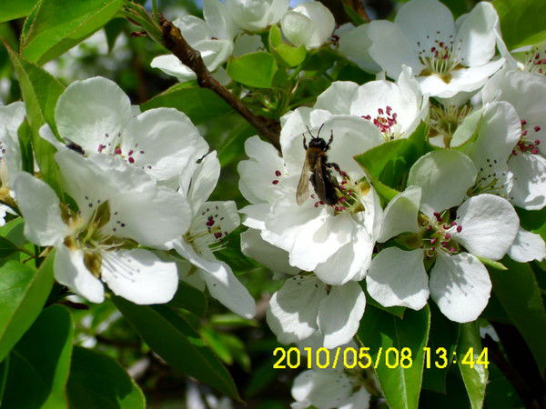 Айкадамов Акылбек