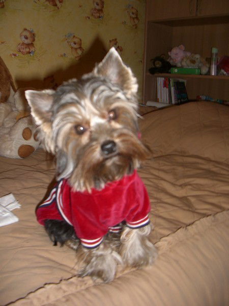 Зинаида Тимофеева