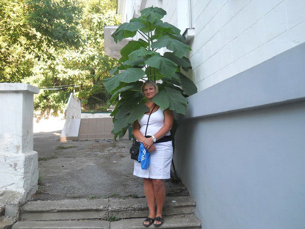 Оксана Молькова