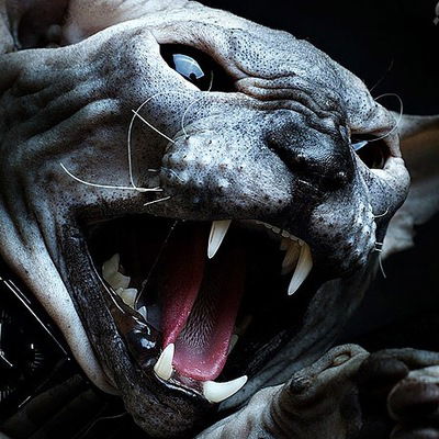 Ебейший Его-Величество