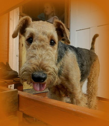 Татьяна Степанова