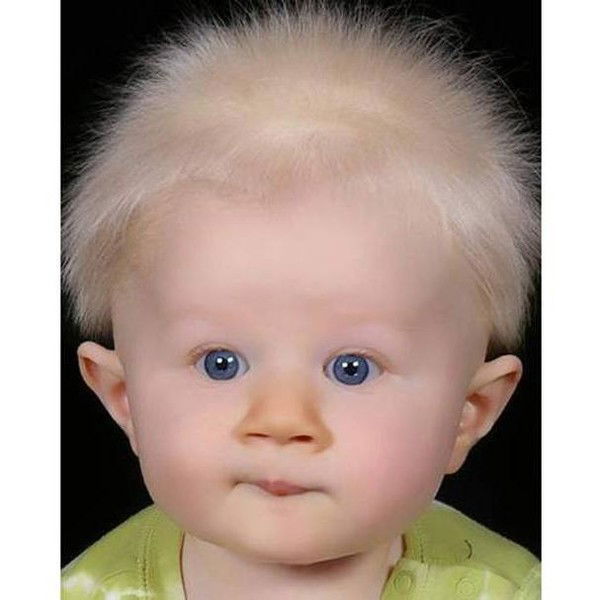 Алексей Лошкарёв