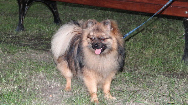 Игорь Семёнов