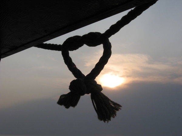 Рoман Бердников