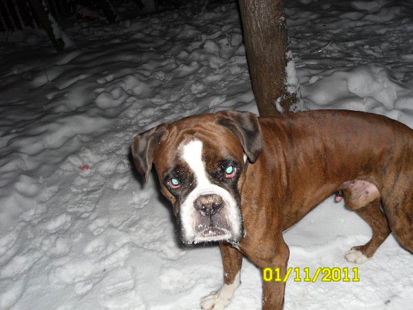 Наталья Тимохина