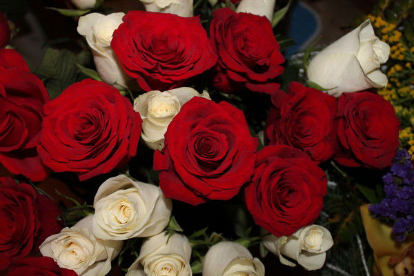 Ирина Калинина