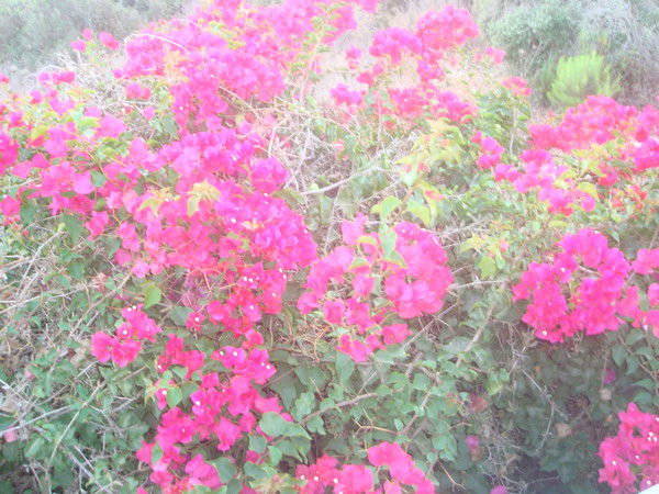 Галина Ионенко