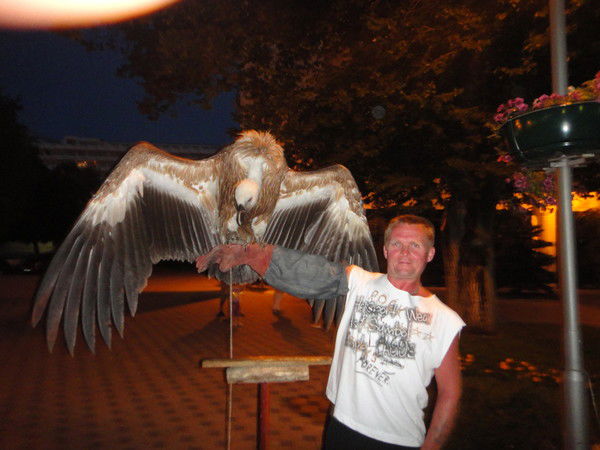 Вадим Сомов