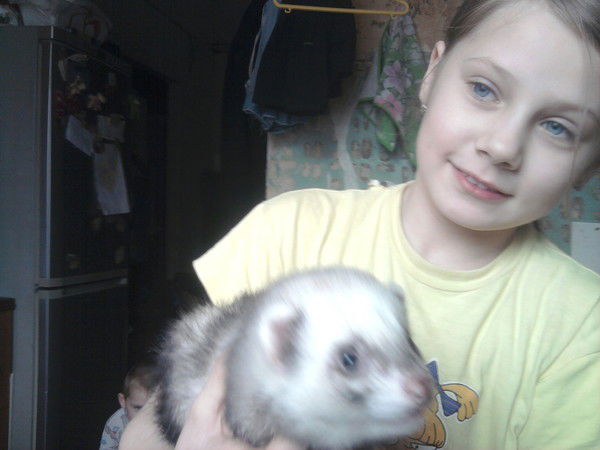 Елена Малоземова