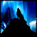 Dare Devil