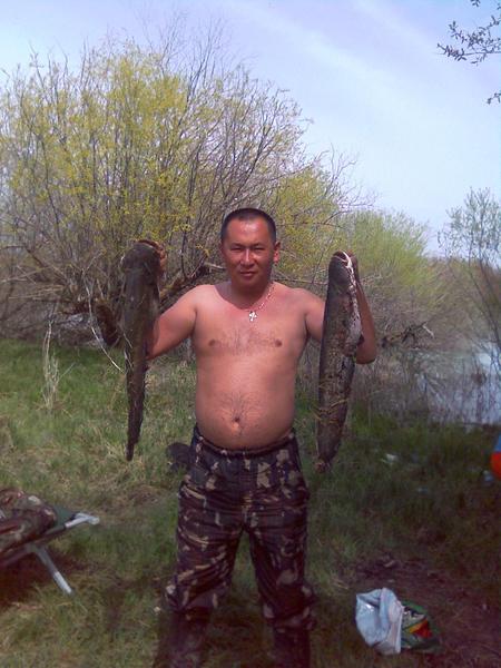 Евгений Стрельцов