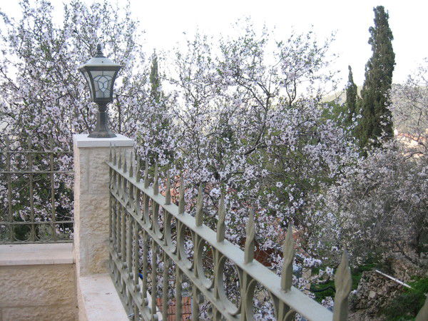 Марина Блохина