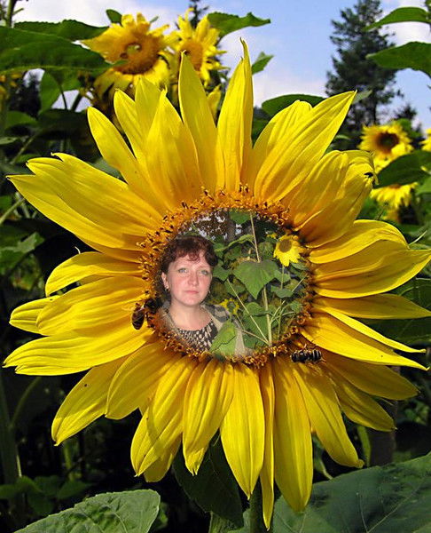 Инна Арнгольд