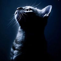 Лена Петухова