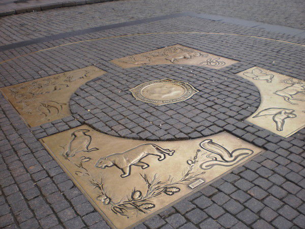 Анастасия Бутникова