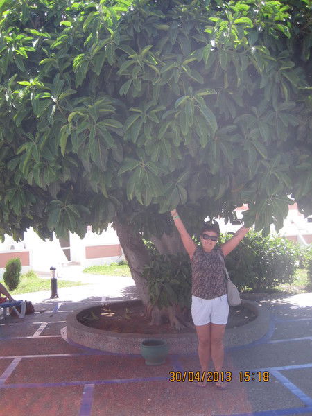 Маргарита Николаева