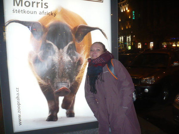 Елена Лыткина