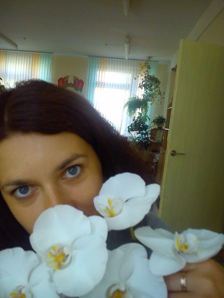 Алла Степанович