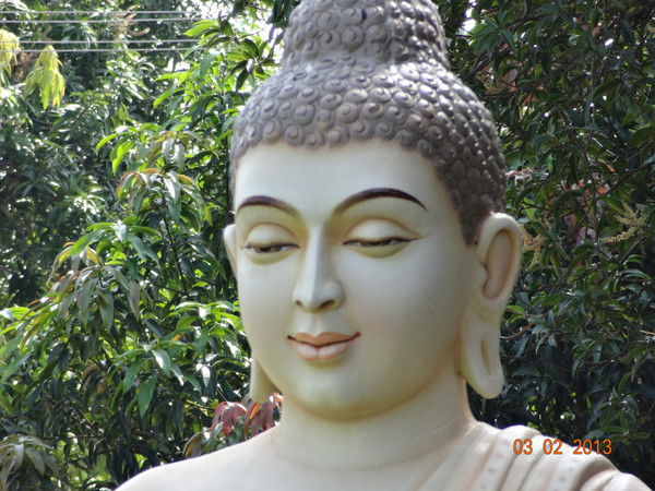 Нина Ванькова