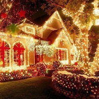 Лиза Тарасова