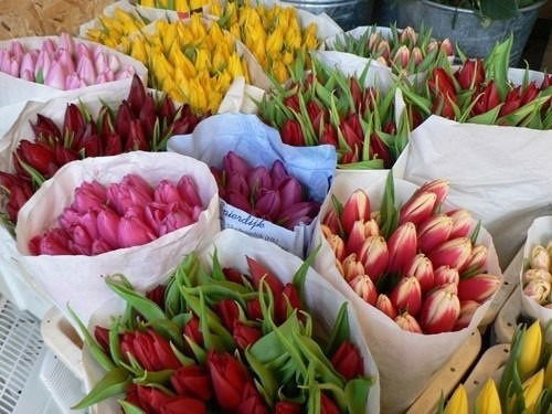 Сакып Шукаева