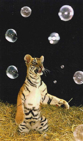 Галина Иванова