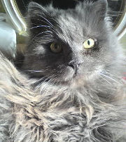 Сергей Кислушкин