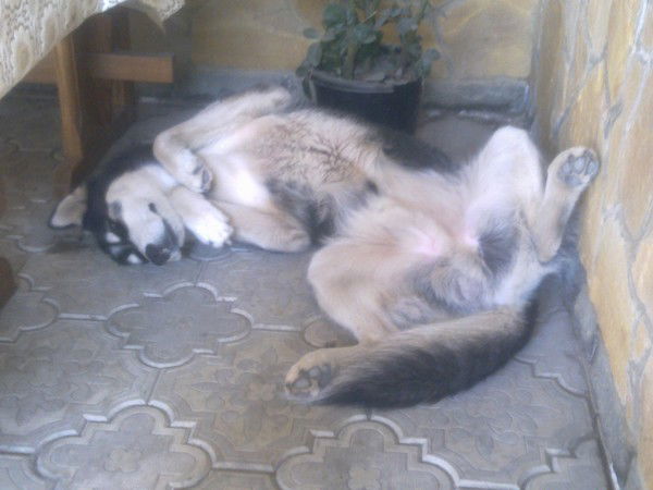 Натали Валуйская