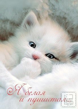 Жулдыз Маймакова