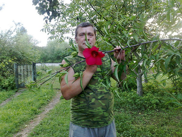 Миша Остапенко