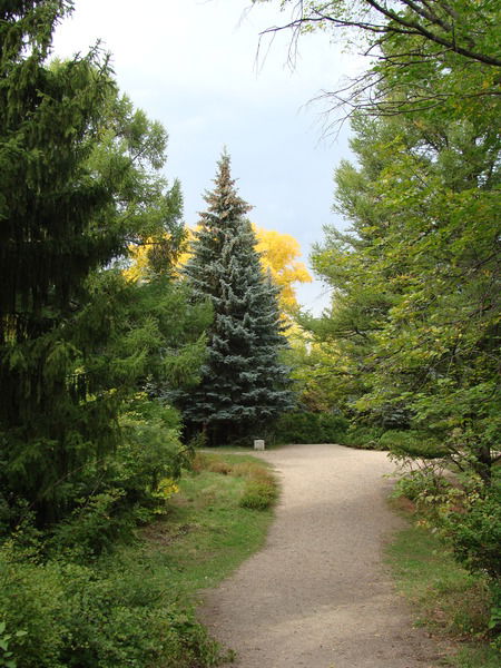 Людмила Шурыгина