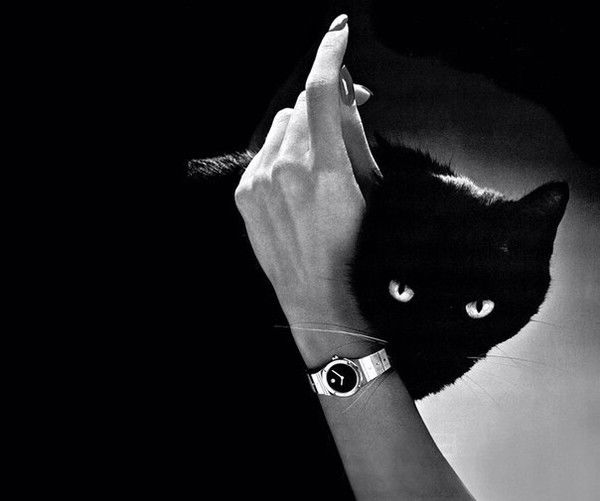 Устинова Екатерина