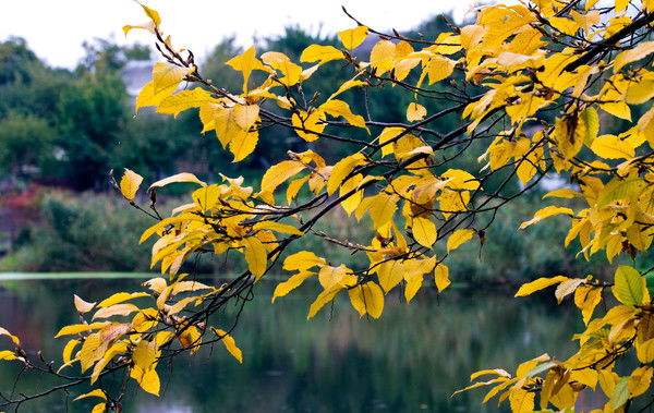 Сергей Плотник