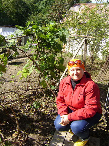 Виктория Дмитриевцева