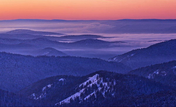 Елена Меньшикова