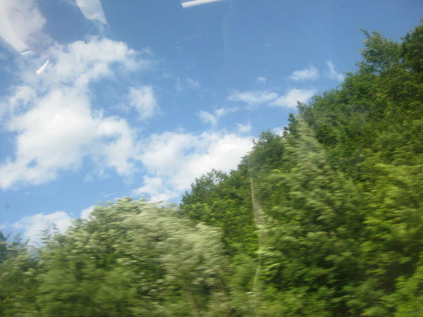 Александр Максименко