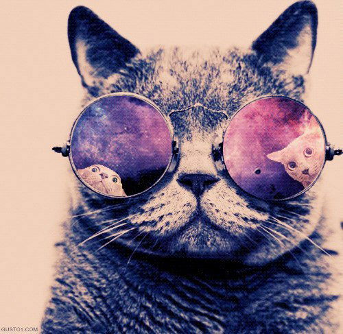 Рома Ратошнюк