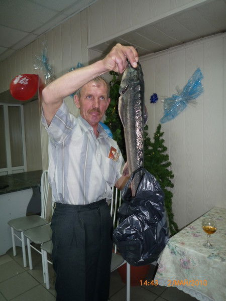 Сергей Коротаев