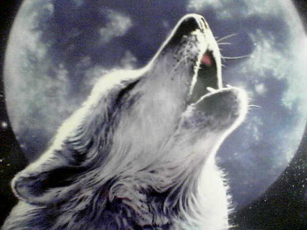 Сергей Процюк