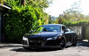 Алена Казакова