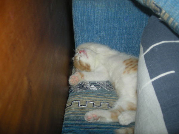 Иван Альбицкий