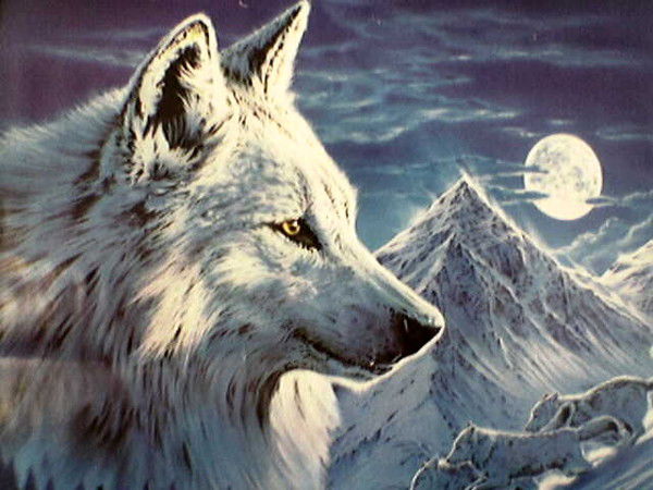 Анфистиника Брусникина