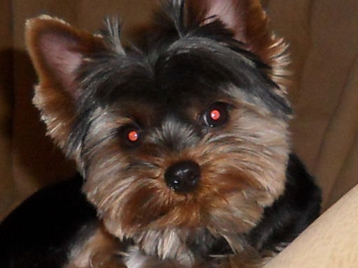 Юрий Мухитов