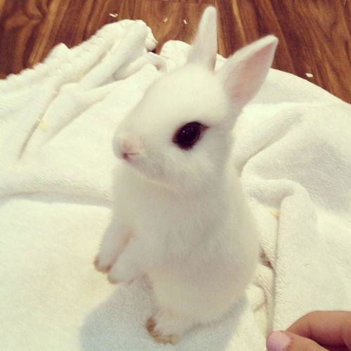 Зарина Мадалиева