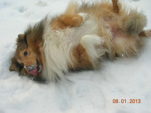 Ольга Степанова