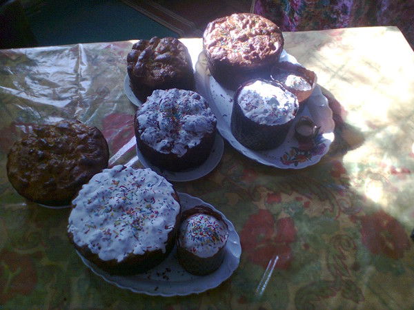 Евгения Дибка